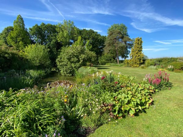 Open Garden scheme celebrates 20th year