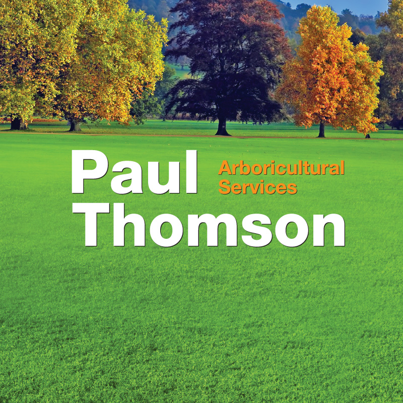 Paul-Thomson